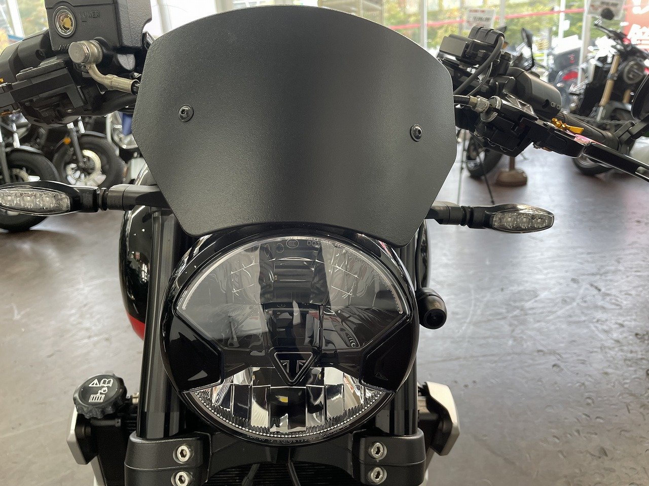 23171831.jpg?resize=600,450,ffffff