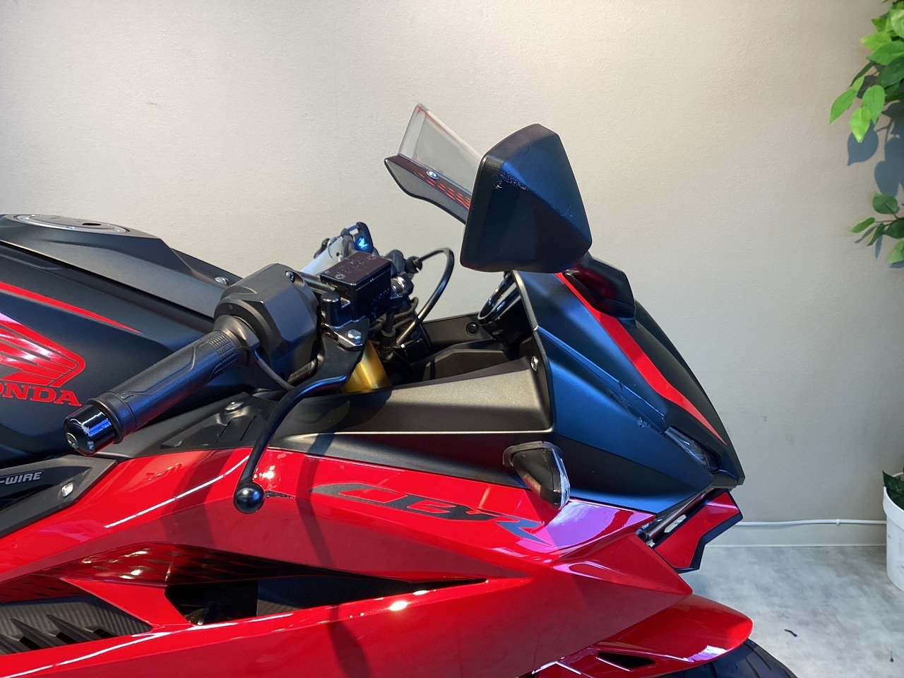 23186568.jpg?resize=600,450,ffffff