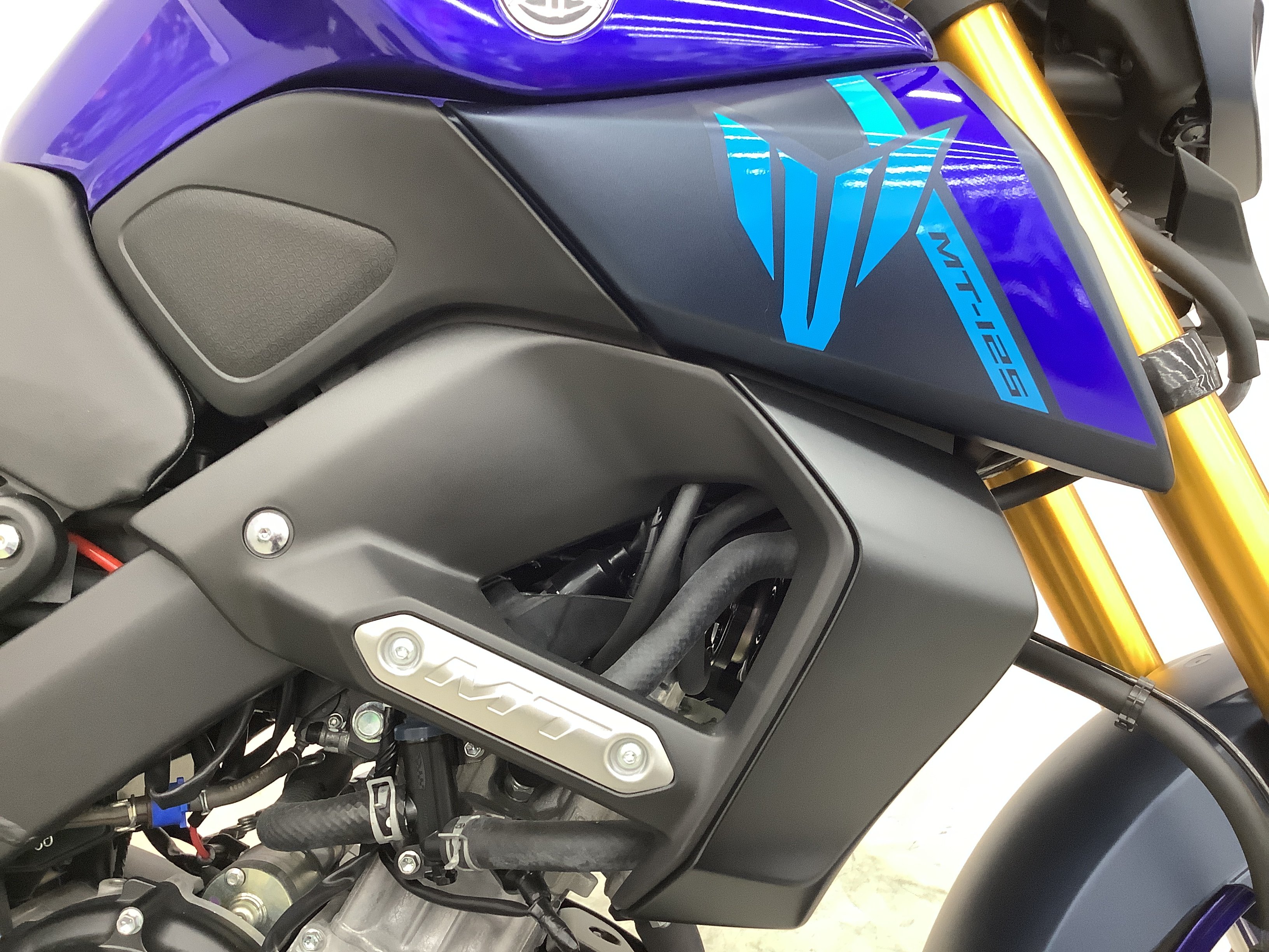 23291800.jpg?resize=600,450,ffffff