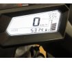 Ninja 250（ニンジャ250）／EX250L型／インジェクションモデル／USB電源装備／ダミーマフラー小物入れ）装備！!