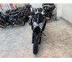 Z250　2019年モデル/ノーマル！!