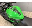 Ninja 250 スペシャルエディション フェンダーレス仕様・LEDウィンカー・ミラースクリーン！!
