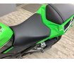 Ninja 250 スペシャルエディション フェンダーレス仕様・LEDウィンカー・ミラースクリーン！!