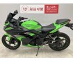 Ninja 250 Special Edition　2013年モデル　スクリーン・エンジンスライダー！!