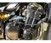 Ｚ９００ＲＳ ＳＥ　グラブバー　ラジエーターガードカバーカスタム　ヘッドライトエンブレム付き！!