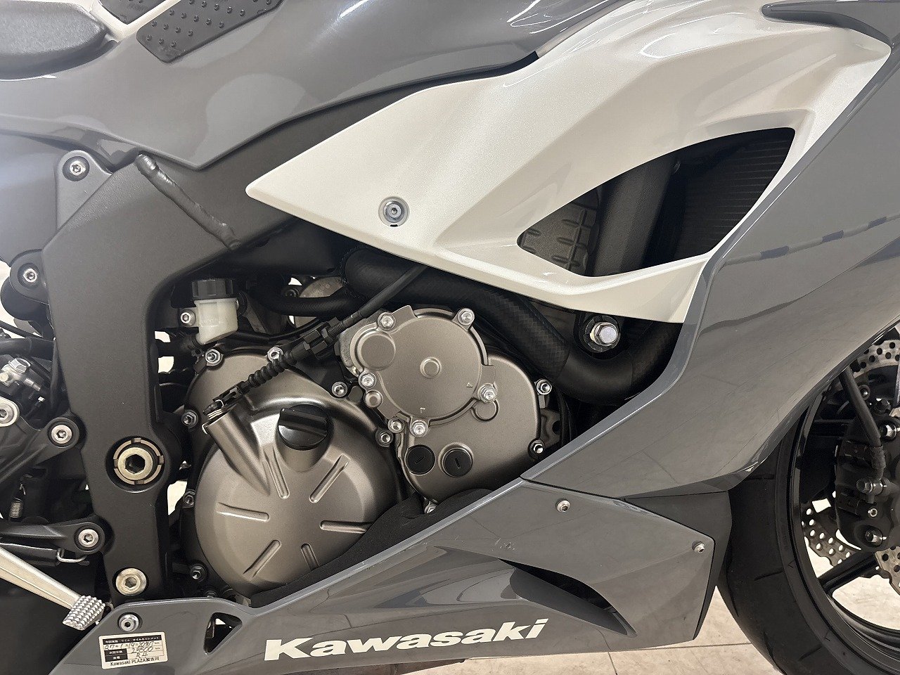 23418308.jpg?resize=600,450,ffffff