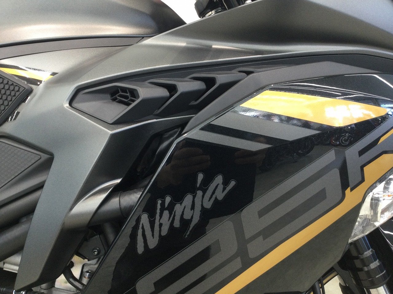 23428527.jpg?resize=600,450,ffffff