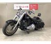 FLFB1750　2019年モデル/ワンオーナー/サドルバッグ/エアクリーナー！!