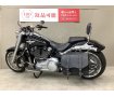 FLFB1750　2019年モデル/ワンオーナー/サドルバッグ/エアクリーナー！!