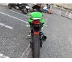 Ninja250　ｽｸﾘｰﾝ・ﾏﾌﾗｰｶｽﾀﾑ　Rﾀｲﾔ新品交換します!