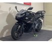 GSX250R　2017年モデル/リアキャリア装備/ヘルメットホルダー/純正スペアキーあり