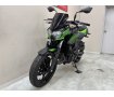 Ｚ２５０　２０２３年モデル　スモークスクリーン　フレームスライダー装備