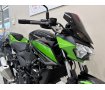 Ｚ２５０　２０２３年モデル　スモークスクリーン　フレームスライダー装備