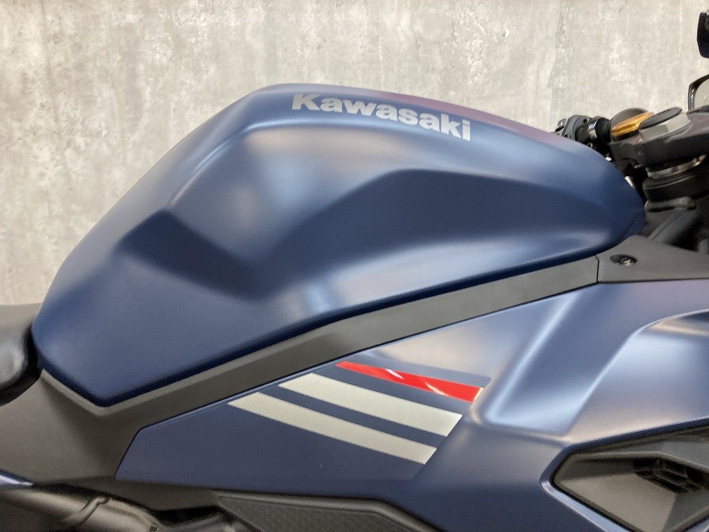 23554886.jpg?resize=600,450,ffffff