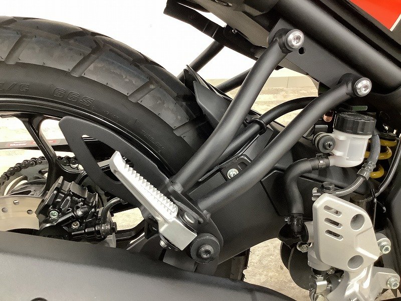 23564096.jpg?resize=600,450,ffffff