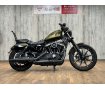 【鑑定車輛】ＸＬ８８３Ｎアイアン■ハンドルカスタム■バンス&ハインズエアクリーナー