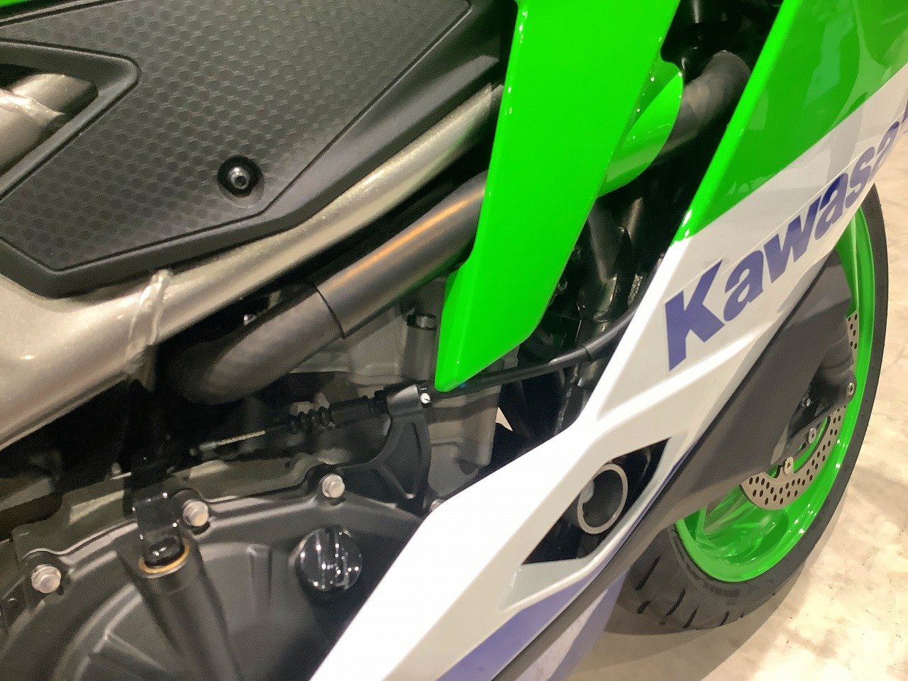 23587474.jpg?resize=600,450,ffffff