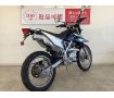 ＫＬＸ１２５　２０１１年モデル　カスタムウィンカー　フェンダーレス