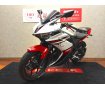 YZF-R25【フェンダーレス・スクリーン・レバー】！!