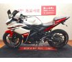 YZF-R25【フェンダーレス・スクリーン・レバー】！!