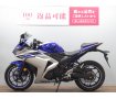ＹＺＦ−Ｒ２５　トリックスター製マフラー