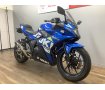 ＧＳＸ２５０Ｒ　トリックスター製スリップオン装備