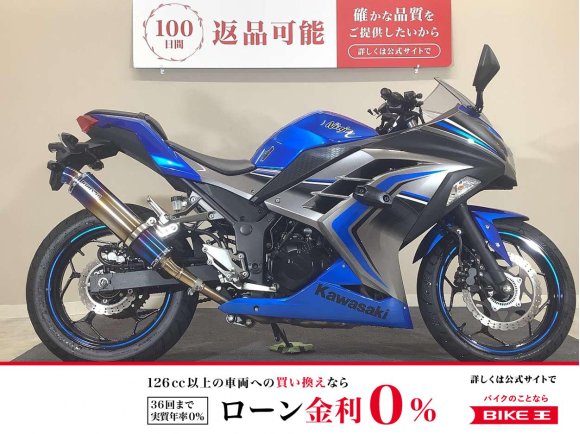 Ninja 250 ABS Special Edition　2016年モデル/BEAMSマフラー/ヘルメットホルダー/純正スペアキーあり