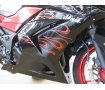 Ninja 250R Special Edition（ ニンジャ250R）／EX250K型／フェンダーレス／カスタムペイント！!