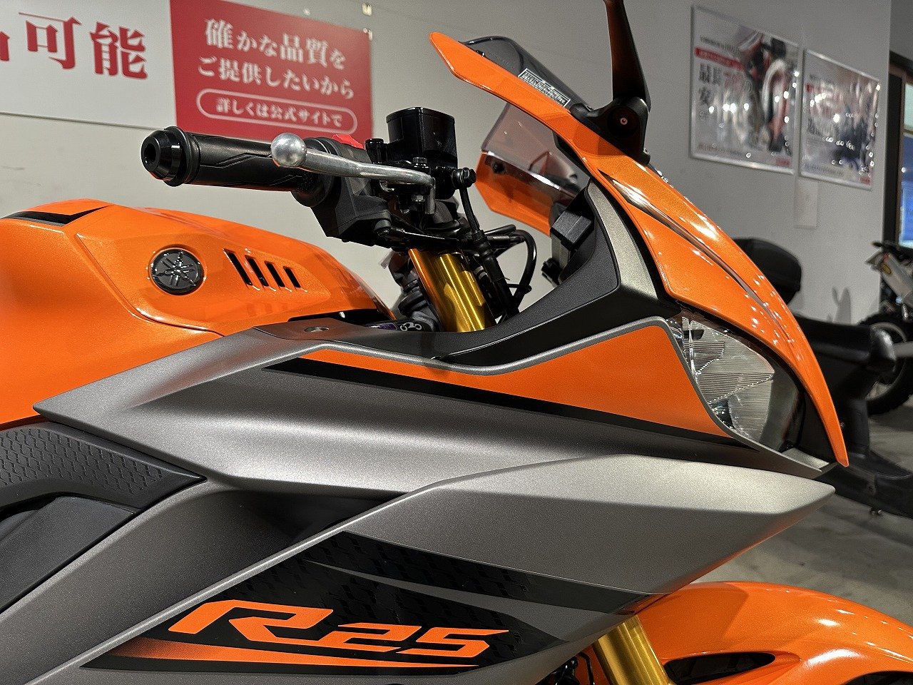 23671999.jpg?resize=600,450,ffffff