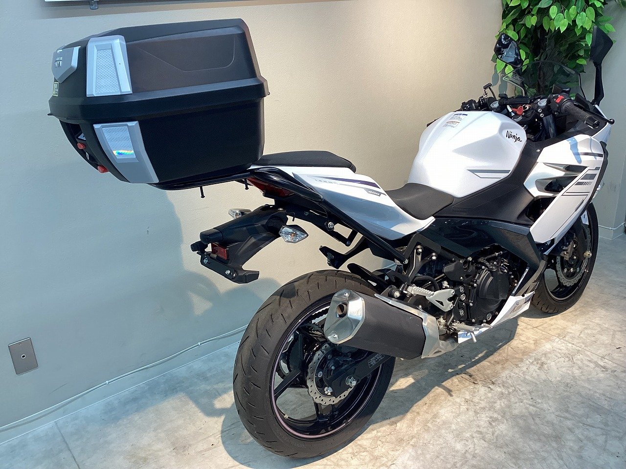 23673075.jpg?resize=600,450,ffffff