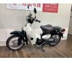 Little Cub【カジュアルな雰囲気と乗りやすさが魅力の1台！】！!