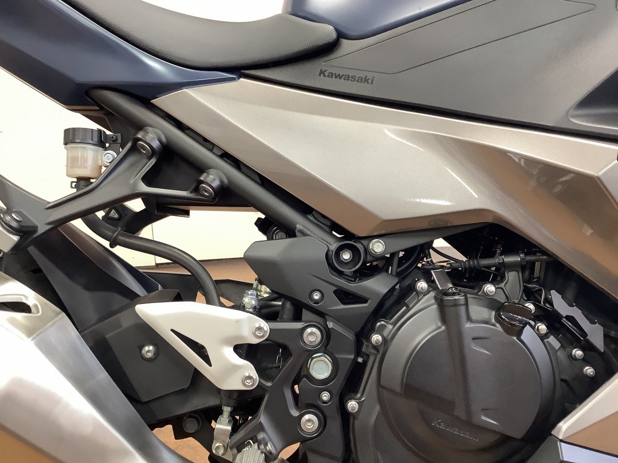 23687638.jpg?resize=600,450,ffffff