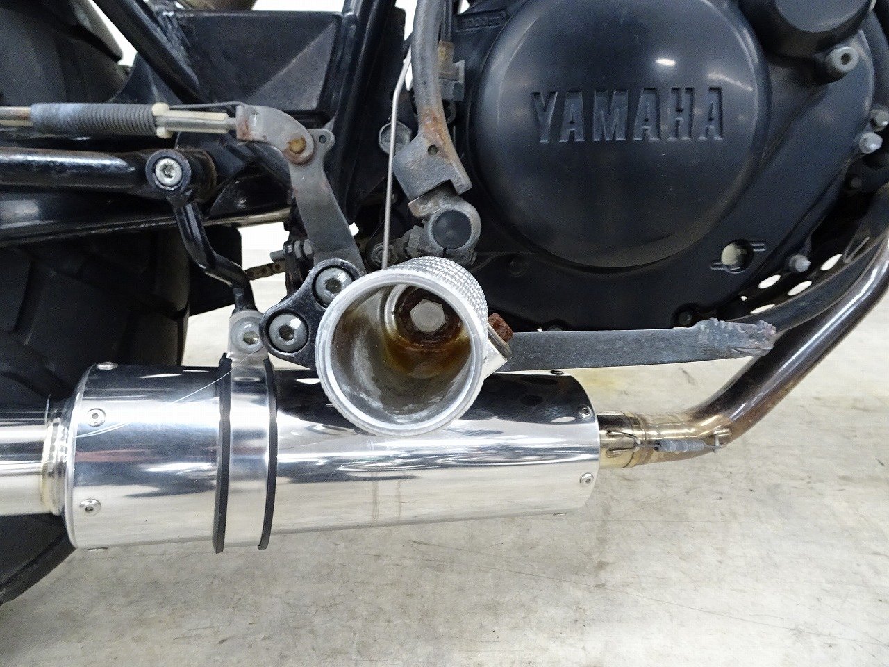 23725918.jpg?resize=600,450,ffffff