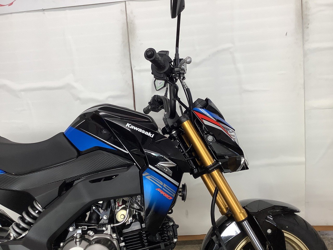 23768148.jpg?resize=600,450,ffffff