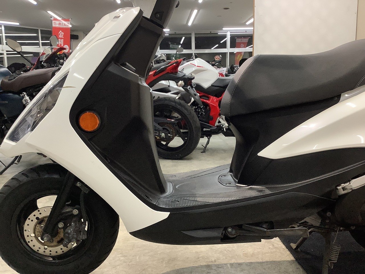 23813446.jpg?resize=600,450,ffffff