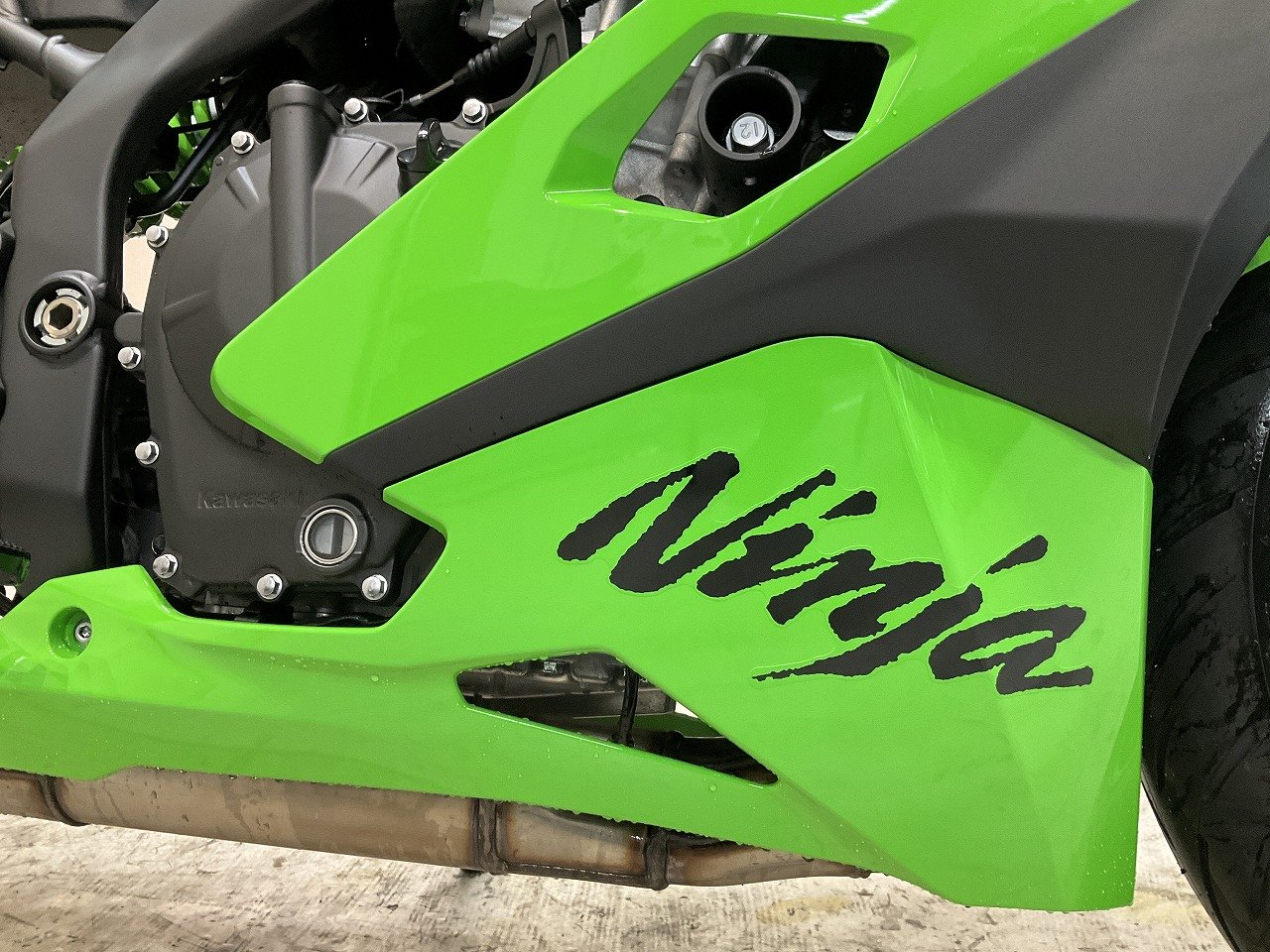 23815789.jpg?resize=600,450,ffffff