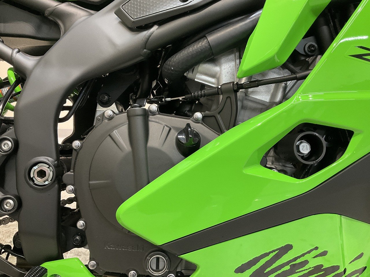 23815797.jpg?resize=600,450,ffffff