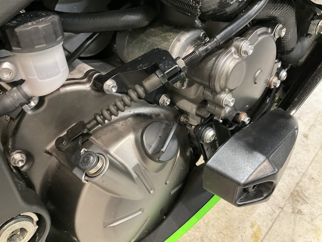 23816108.jpg?resize=600,450,ffffff