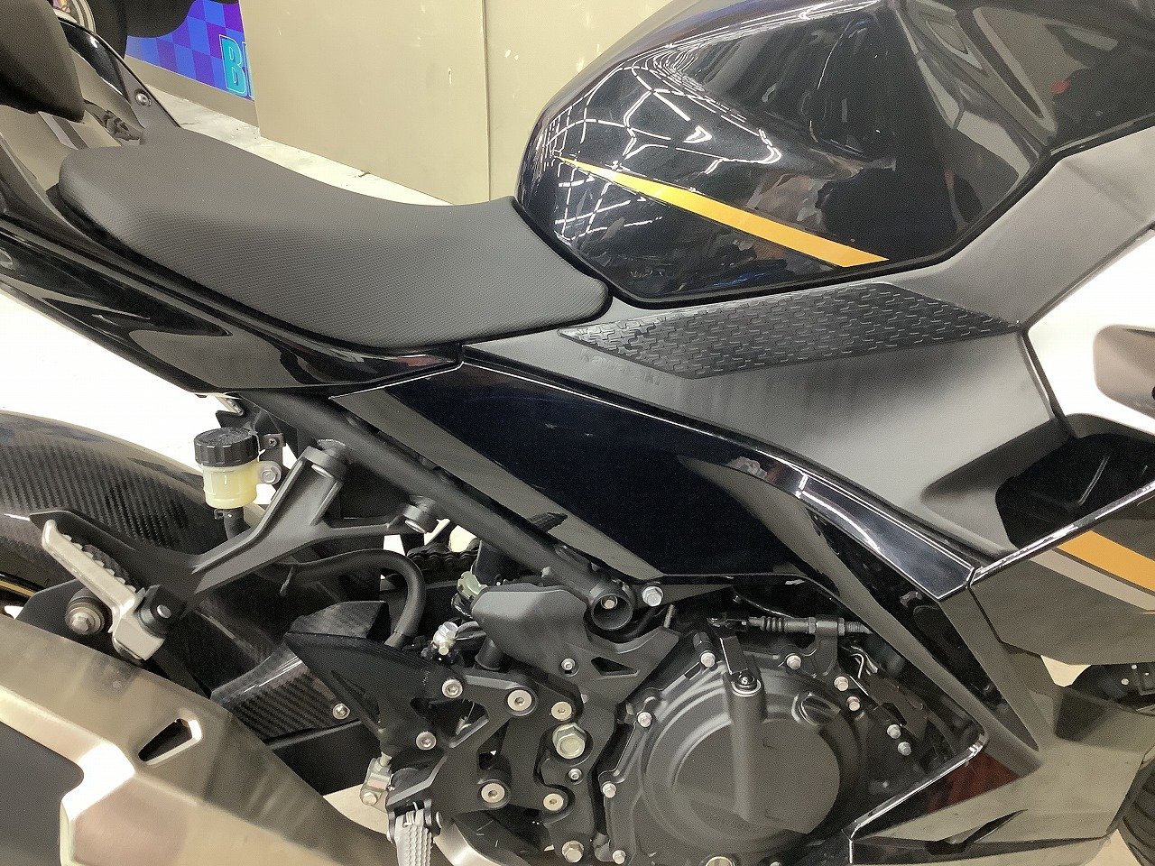 23830423.jpg?resize=600,450,ffffff