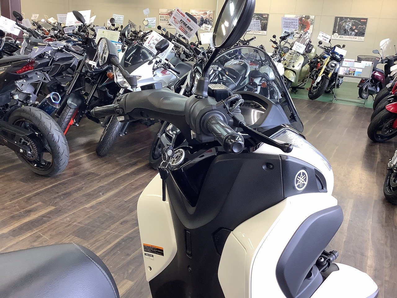 23837573.jpg?resize=600,450,ffffff