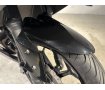 ＮＩＮＪＡ２５０　２０１７年モデル　フルノーマル