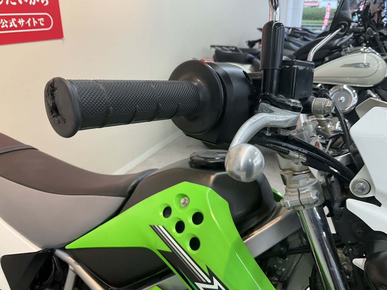 23996146.jpg?resize=600,450,ffffff