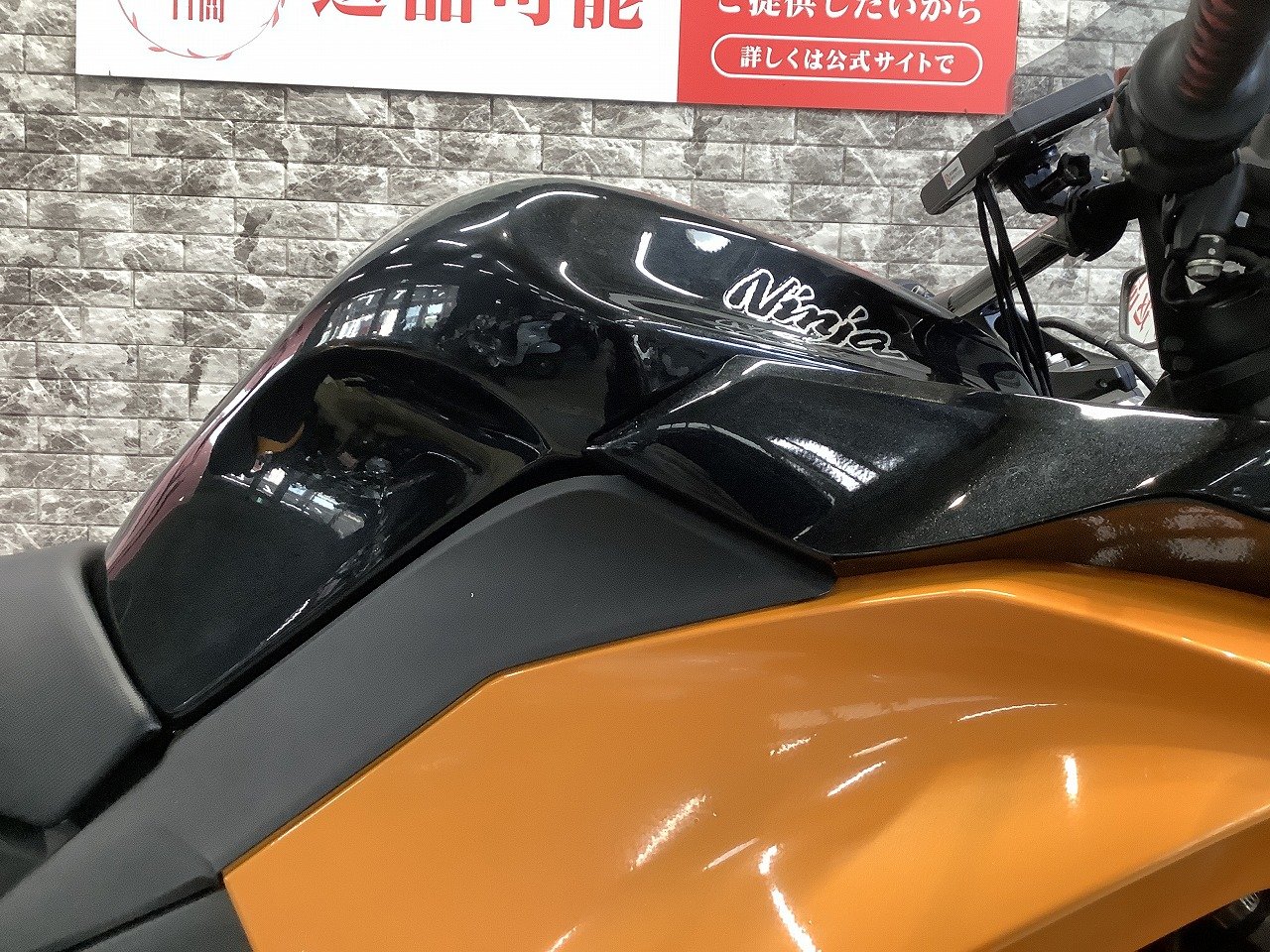 24061892.jpg?resize=600,450,ffffff