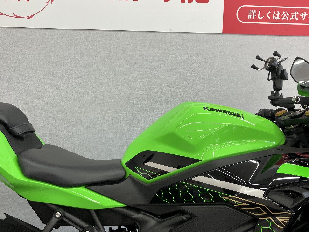 24077972.jpg?resize=600,450,ffffff