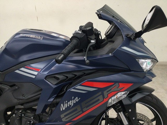 24090679.jpg?resize=600,450,ffffff