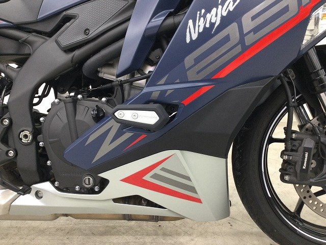 24090680.jpg?resize=600,450,ffffff