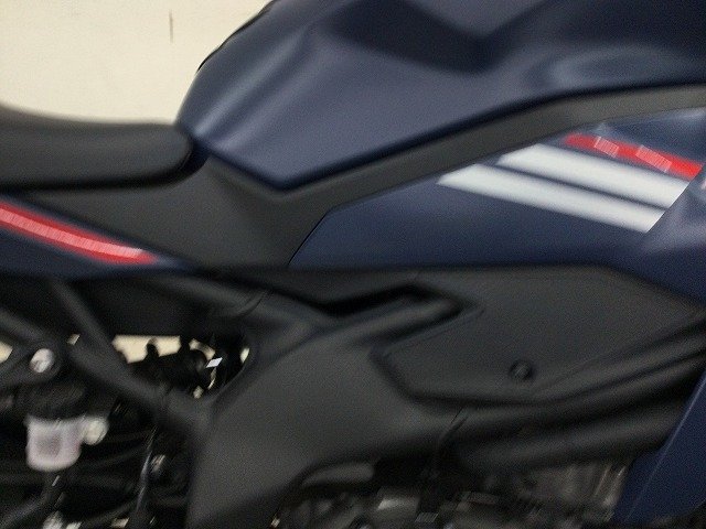 24090683.jpg?resize=600,450,ffffff