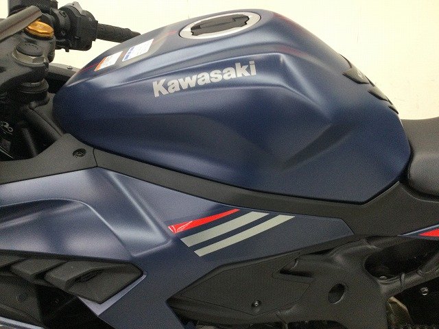 取り置き(予約)　ナグ 24090691.jpg?resize=600,450,ffffff