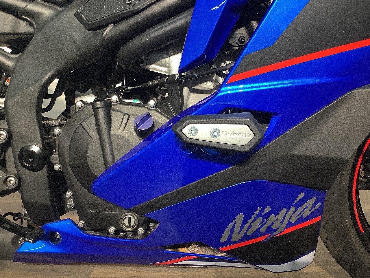 24119279.jpg?resize=600,450,ffffff