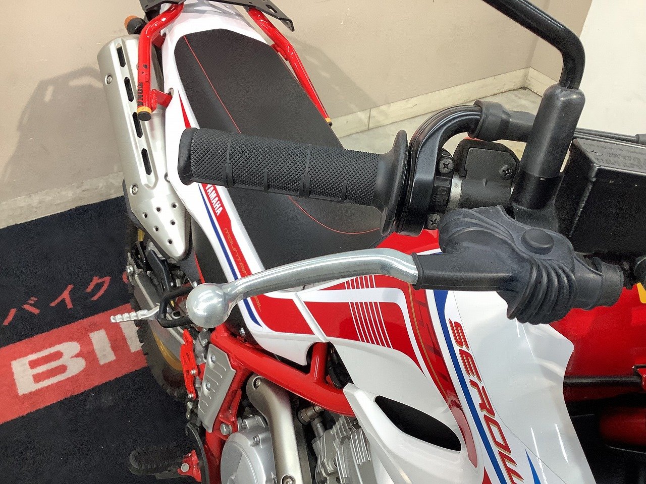 24259133.jpg?resize=600,450,ffffff